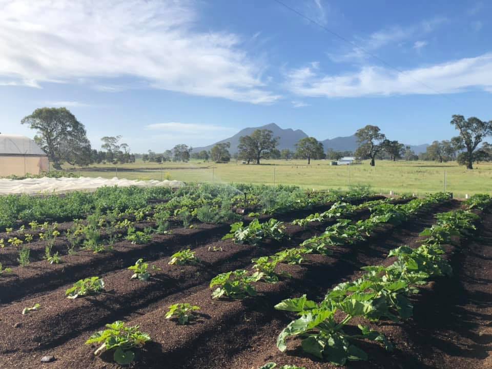 Grampians Food Co