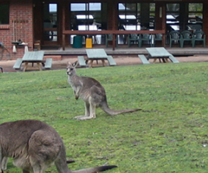 Grampians Retreat