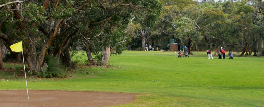 grampians golf club